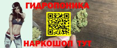 a pvp Волгодонск