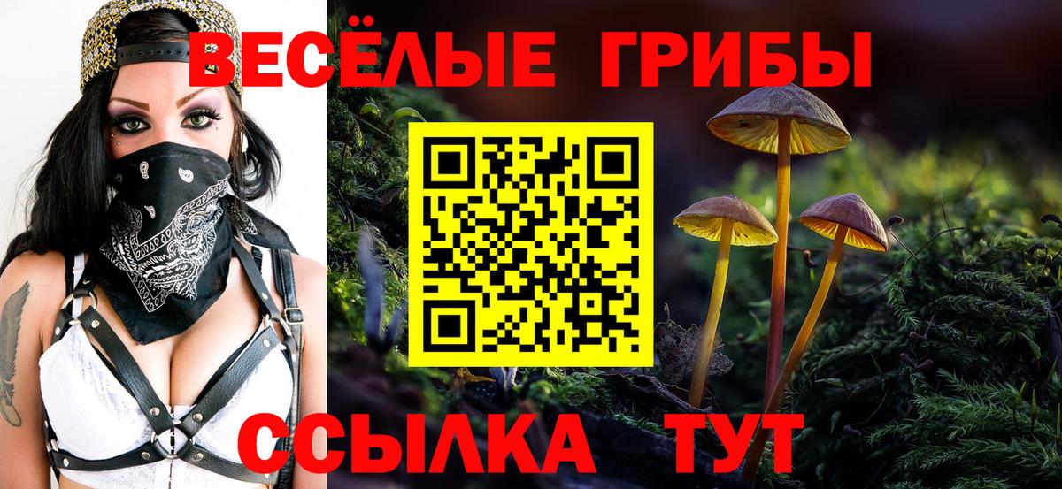 Ачхой-Мартан  Псилоцибиновые грибы Psilocybine cubensis  Псилоцибиновые грибы Psilocybe  Вход с VPN 