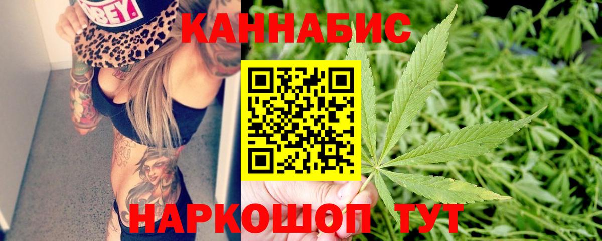 Ачхой-Мартан  Бошки марихуана VHQ  Бошки марихуана тримм  Каннабис семена  МАРИХУАНА планчик  Вход с VPN 