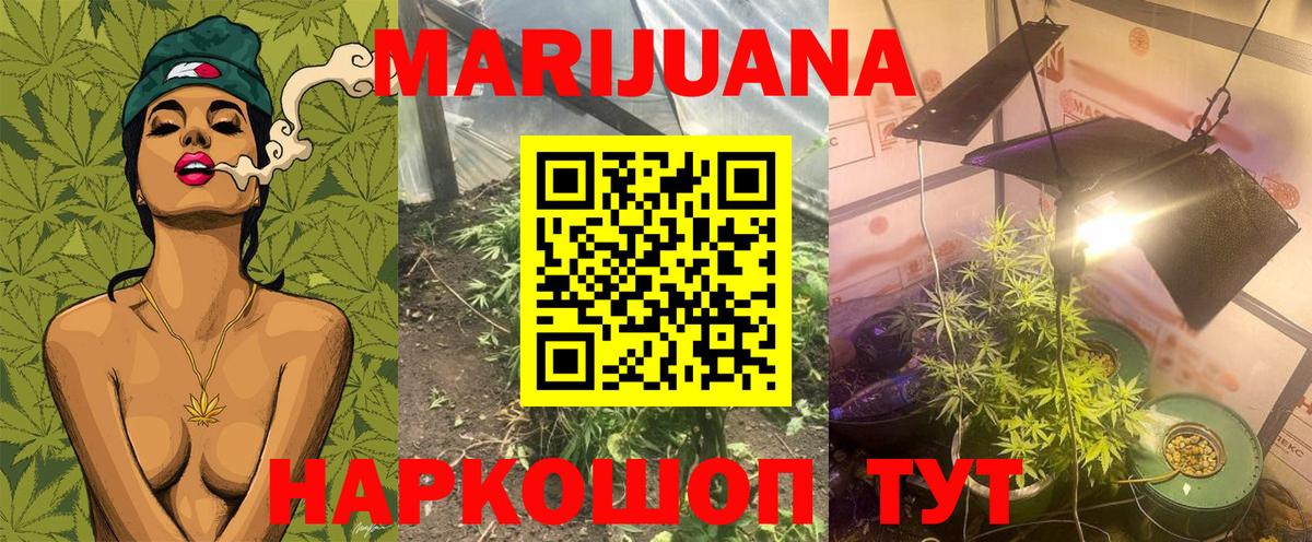 Канабис Ganja Ачхой-Мартан
